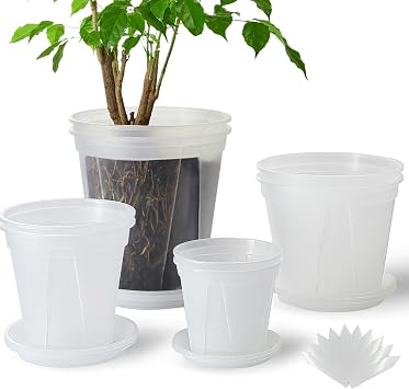 Clear Plant Nursery pots with Saucers,5/6/7/8 inch 8 Pack