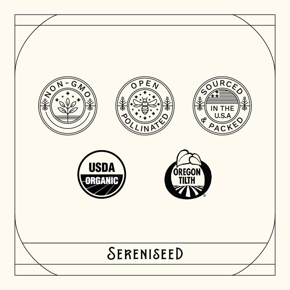 Colección de semillas de té de hierbas orgánicas certificadas (paquete de 10) - 100% sin OMG, polinizado abierto - Guía de cultivo 4
