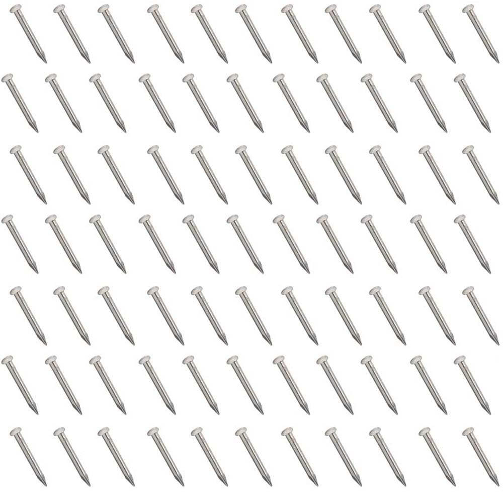 BLUELECTiny Wooden Nails for DIY Craft Projects, Antique Drawer Repairing, Mini Boxes Decorative Accessories[Set of 200pcs] (0.5inch/13mm, Silver)