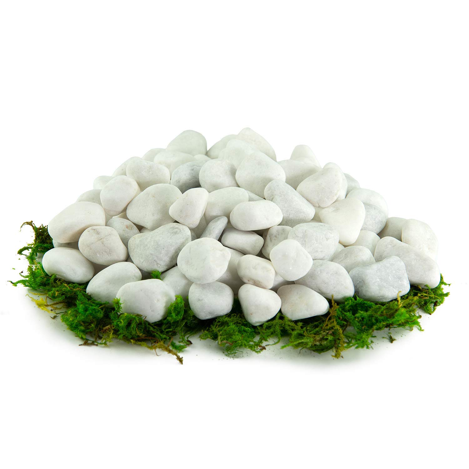 Pets Empire Stone Porcelain Pebbles | 500 GMS | Natural, White Pebbles for Potted Plants, Gardening, Succulents, Aquariums, Terrariums, and More (B07WKB8TGB) Amazon Price History, Amazon Price Tracker