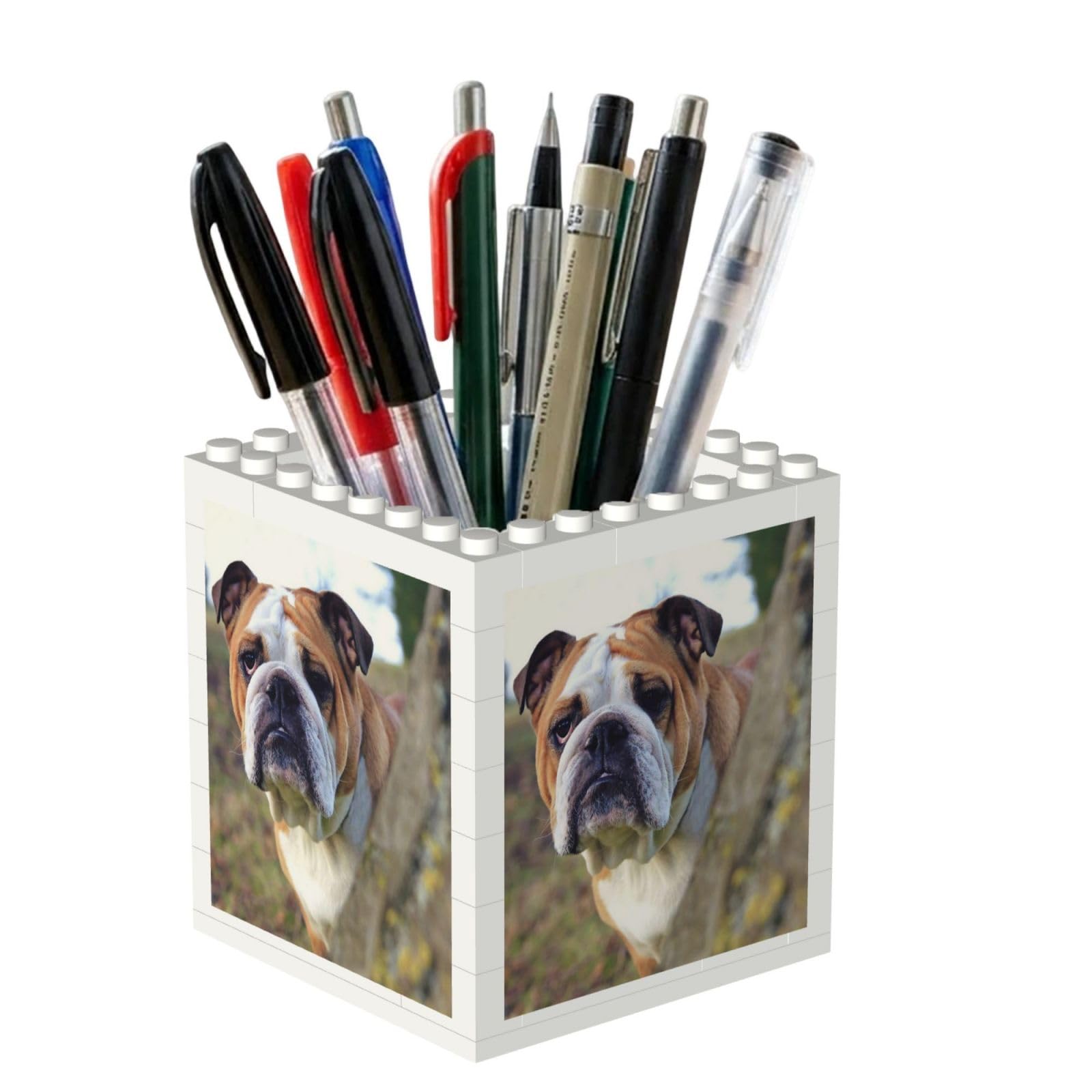 Poadnly English BullDogs Lawn Pets English BullDogs, Pen Pot Pencil Holder for Office Home School, Compact Desk Organiser for Office Stationery