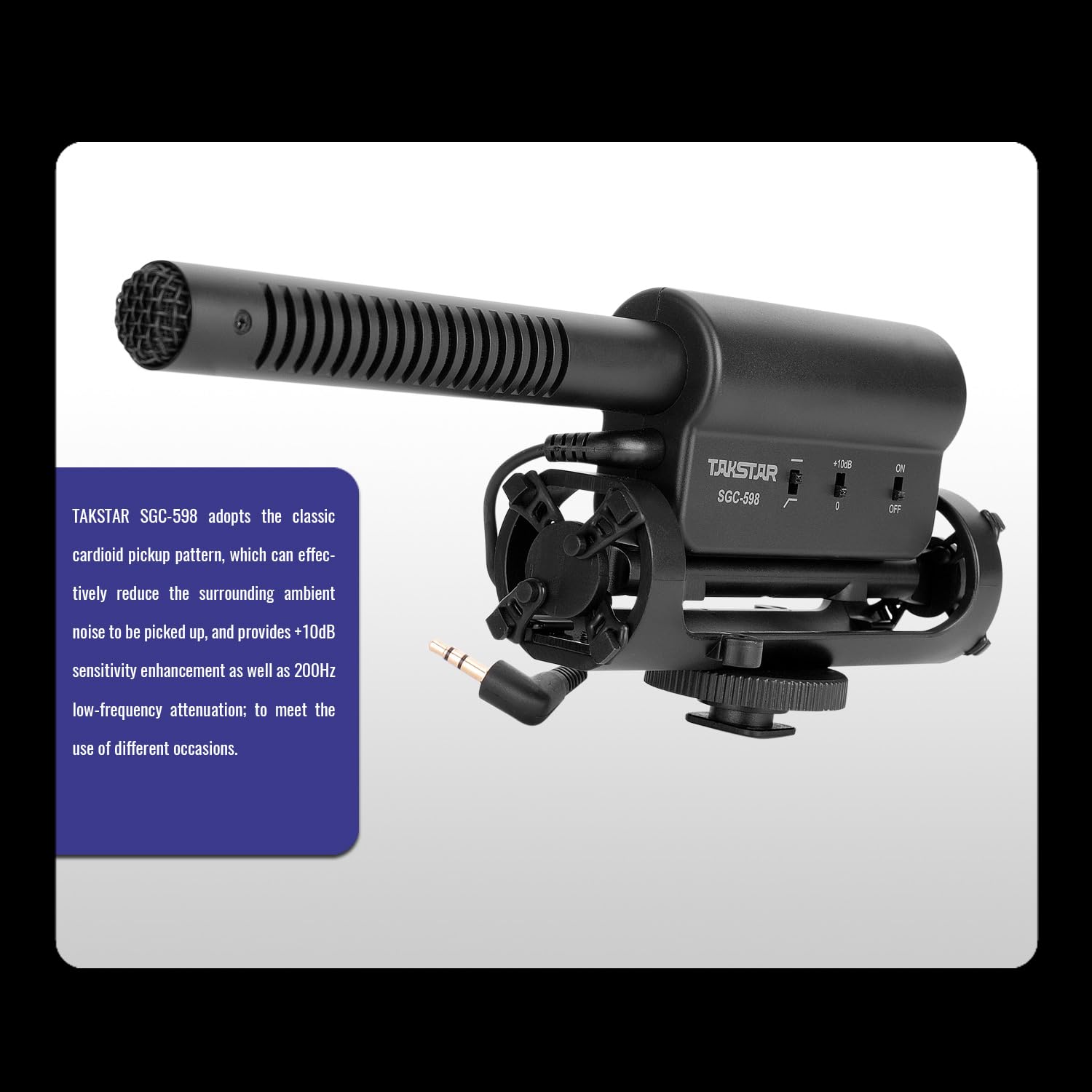 Amazon.com : TAKSTAR SGC-598 Video Microphone - Professional
