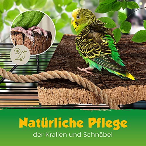 Kork Rinde | Kork Platte | Kork Stücke aus Naturkork der Korkeiche | 30 x 40 x 3 cm | unbehandelt & natürlich | Rohware der Korkrinde | thermisch desinfiziert | Ideal für Terrarium | für Nager & Vögel