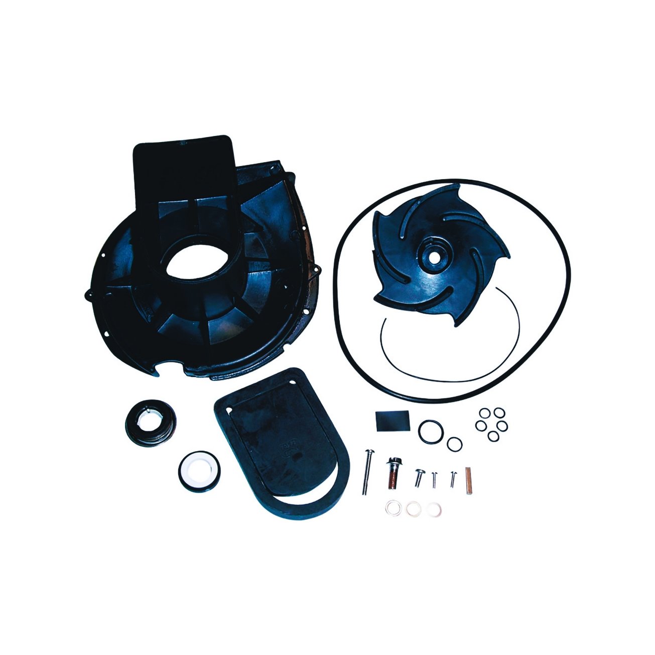 PACERPUMPS, DIV. OF ASM IND Pump Rebuild Kit, 'S' Series, 5-Vane