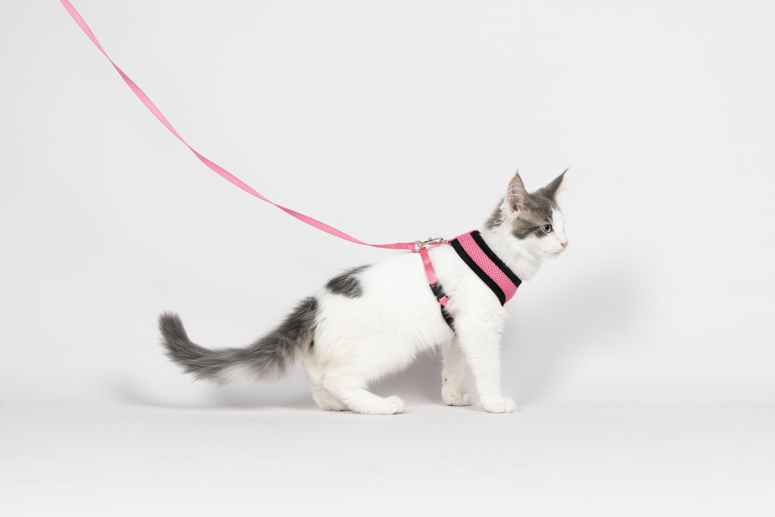 Harnais pour Chat - Harnais Harms Rose pour Chaton avec Laisse - Mesh Respirant Doux - réglable avec Fermeture clic et Mousqueton - 28cm / 32-41cm / 110cm