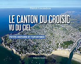 Download Le canton du Croisic vu du ciel PDF