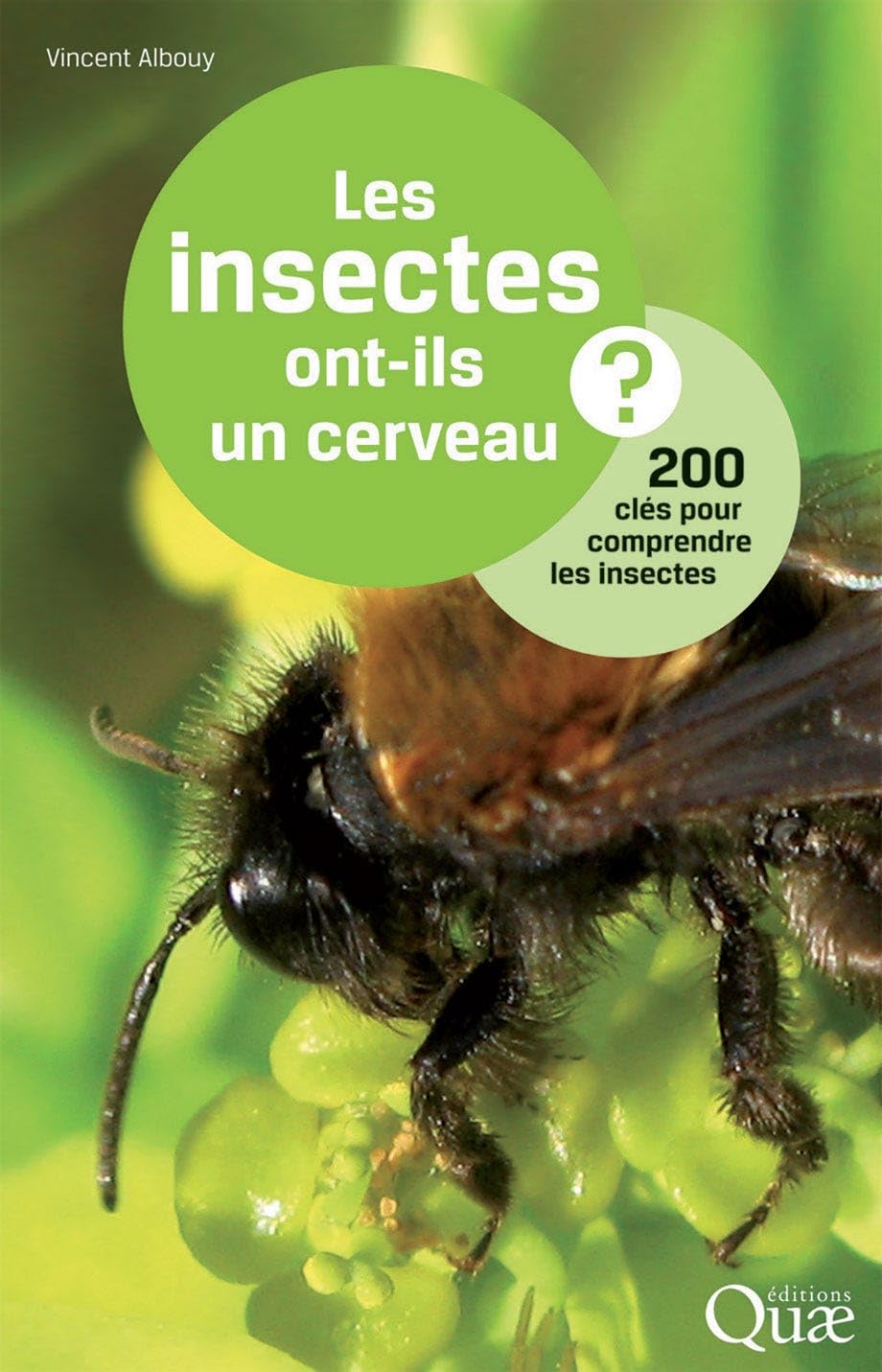 Les insectes ont-ils un cerveau ?: 200 clés pour comprendre les insectes.