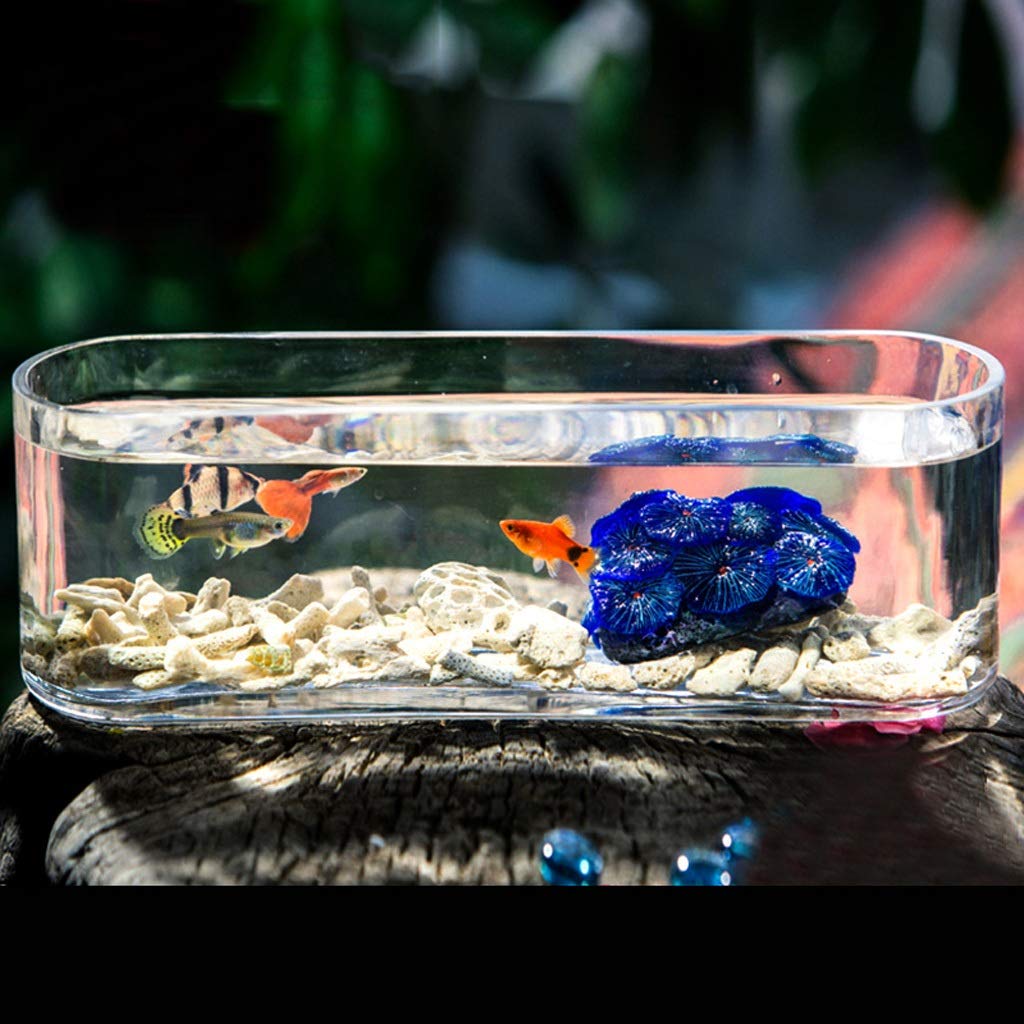 Personalidad Creativa Cristal Rectangular Fish Tank Acuario Sala de Estar Oficina Escritorio Acuario Decoración (tamaño : M)