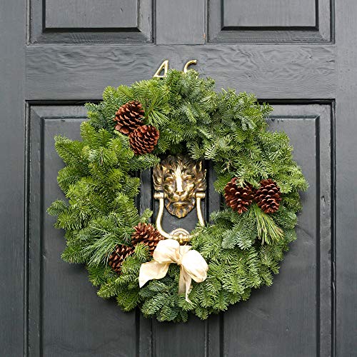 Mosser Lee KEW168 16" Living Wreath