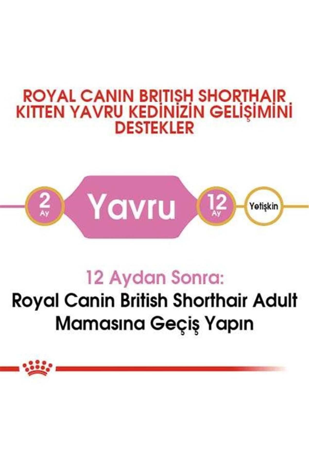 Royal Canin Kitten Food - British Shorthair Complete Food 2Kg product thumbnail 6