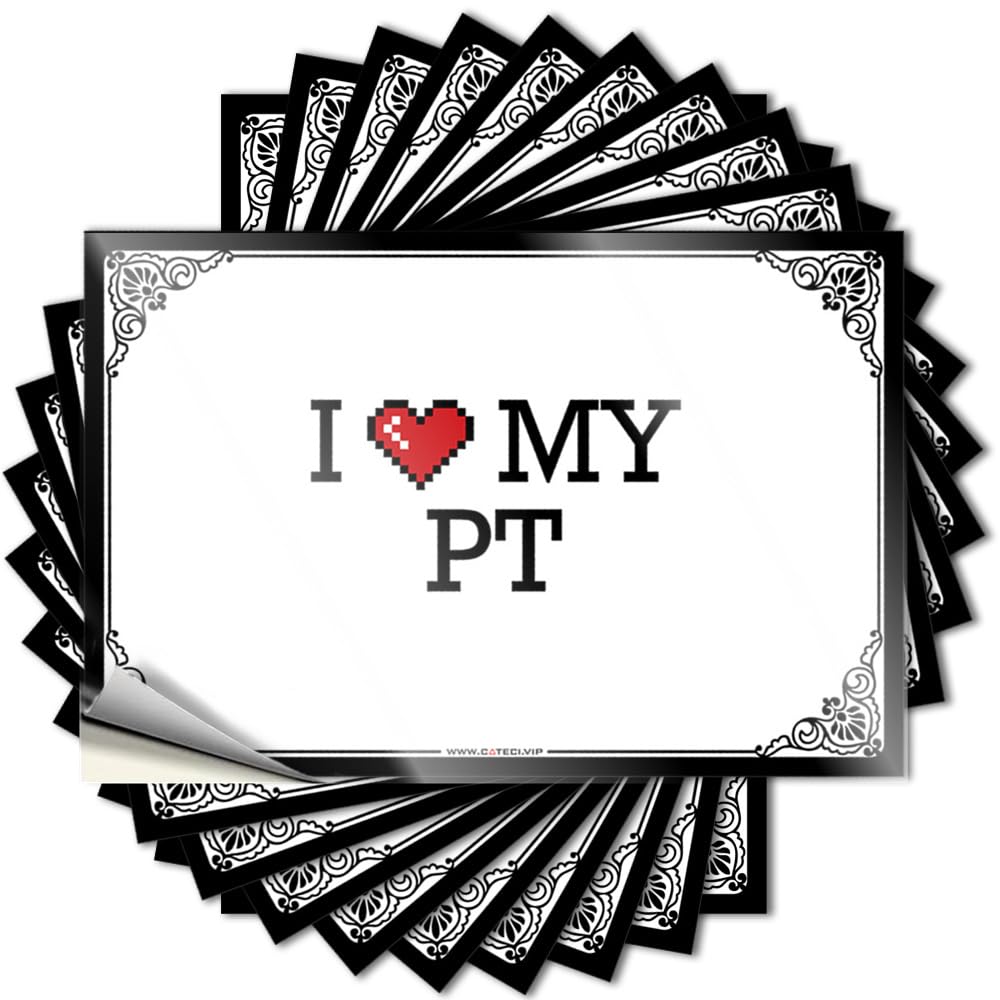 Stitch Room Decor Bumper Decal | I Love My Pt Funky for Interesting Decor(8X12CM)