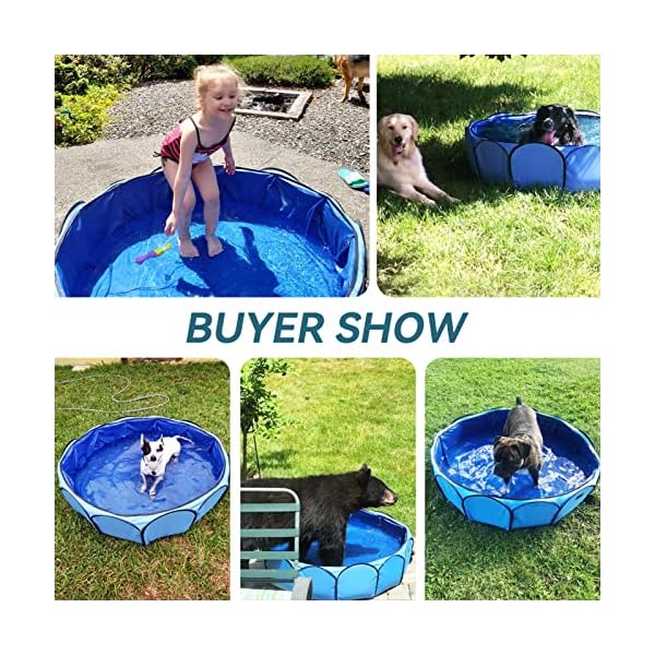 Petsfit-Kiddie-PoolFoldable-Dog-Pool-Pet-Bath-Pool-for-Dogs-Cats-and-Kids-Puncture-Resistant Petsfit Kiddie Pool: Foldable Pet Bath Pool for Fun with Your Pets and Kids