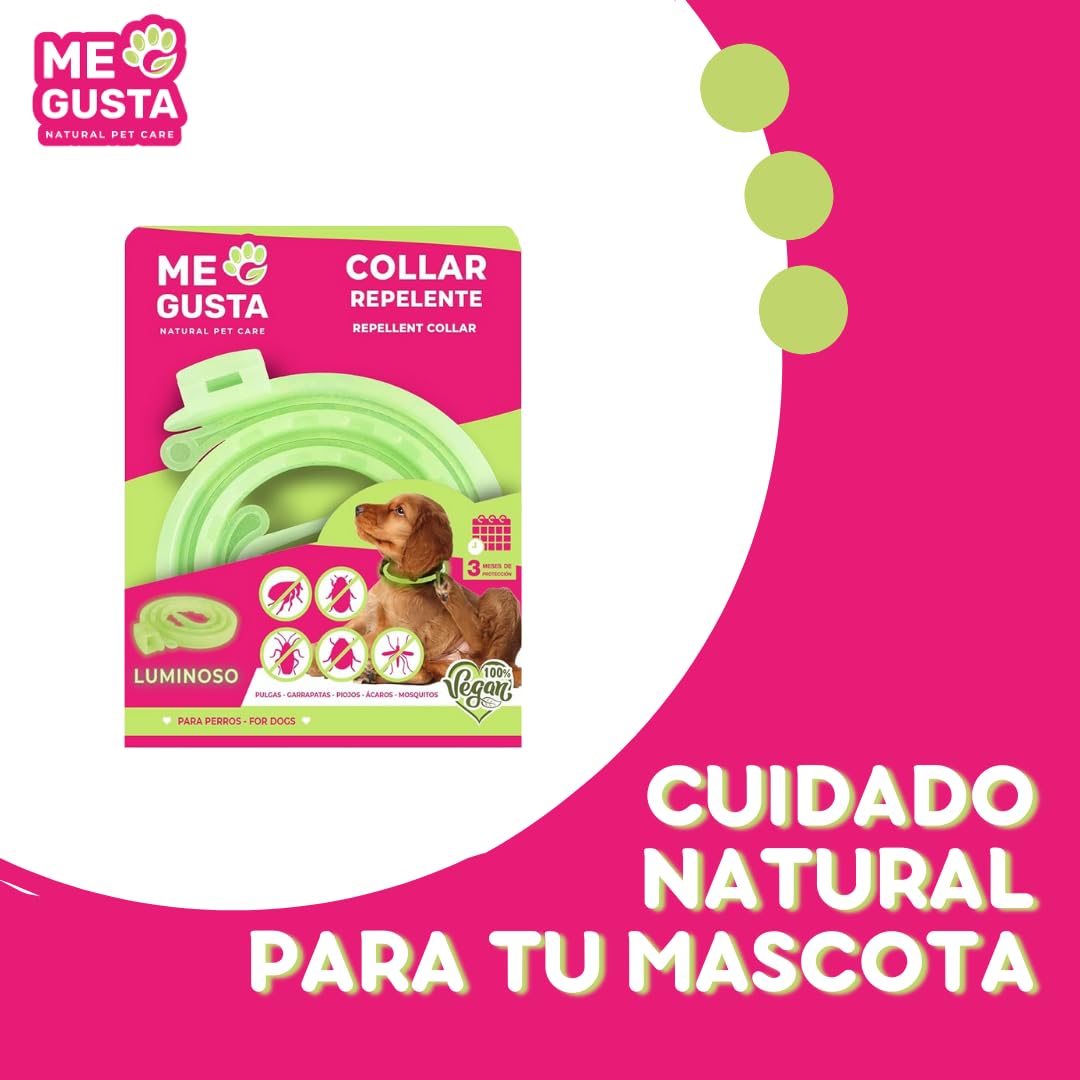 ME Gusta Collar Luminiscente Repelente para Gatos con Geraniol | Repele Todo Tipo de Insectos | Fragancia Cítrica | 30 cm