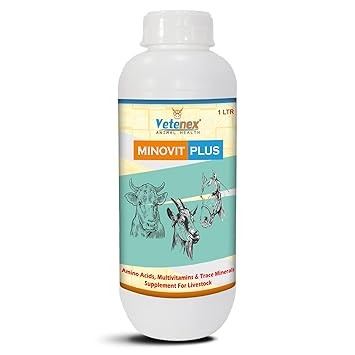 VETENEX Minovit Plus - Amino Acids, Multivitamins & Trace Minerals Supplement for Cattle, Cow, Buffalo, Poultry, Goat, Pig - 1 LTR