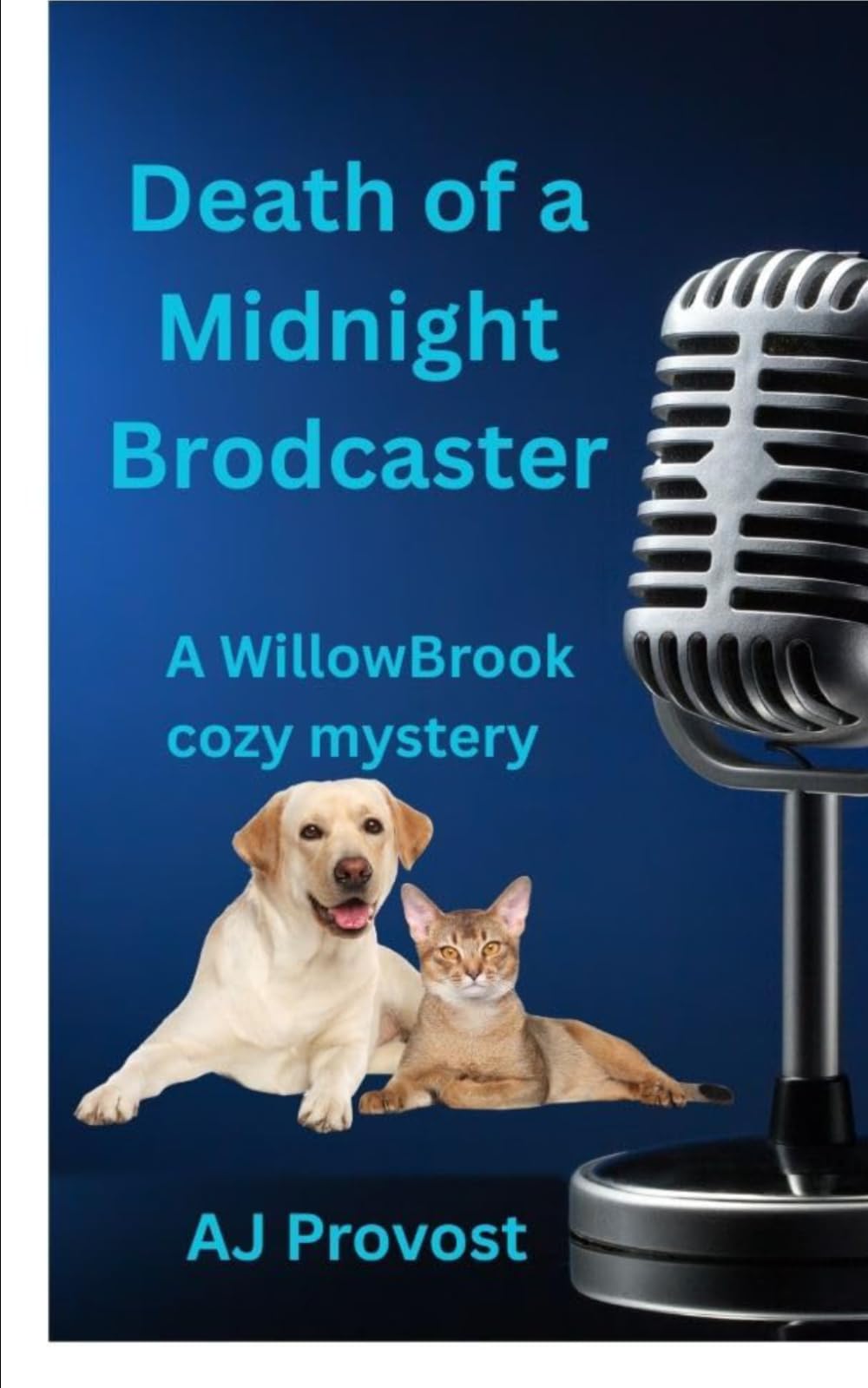 Death of a Midnight Broadcaster: A WillowBrook cozy mystery