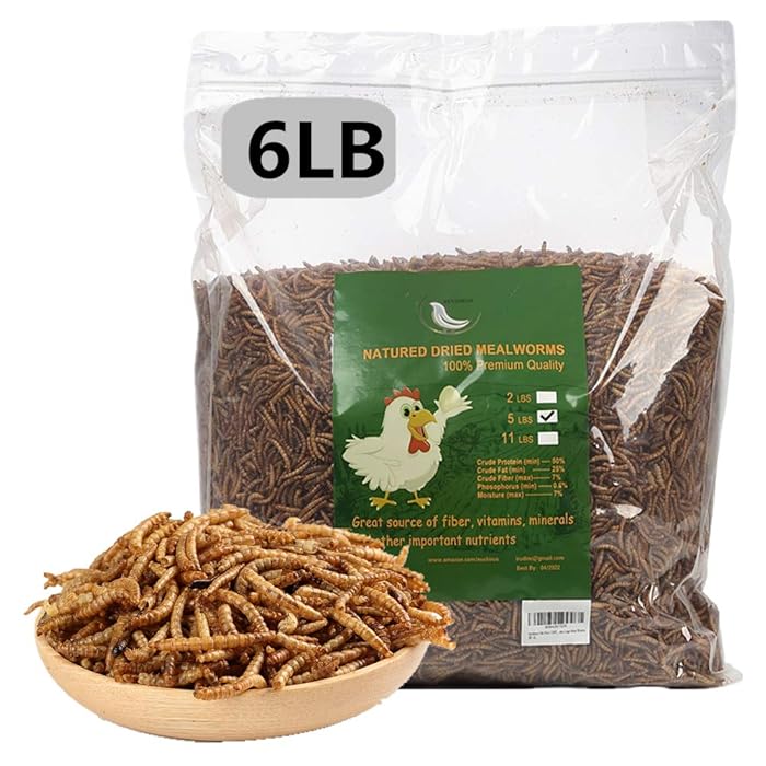 Buy NonGMO Dried Mealworms or Black Soldier Fly Larvae, 100 NonGMO
