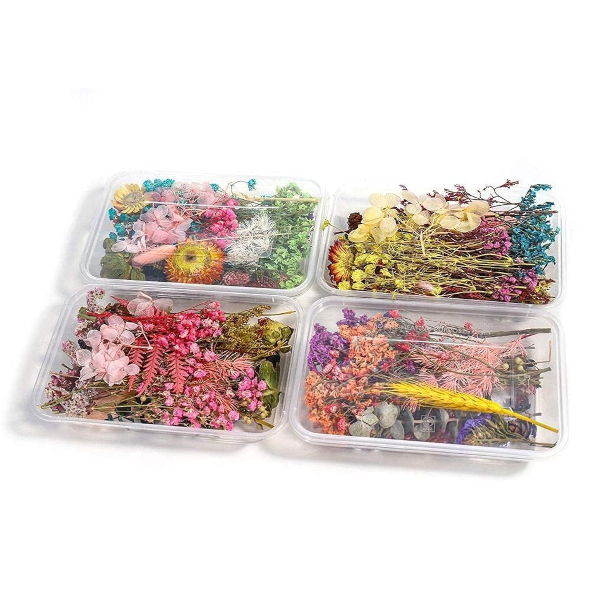 Natural Real Dried Flowers for Art Craft