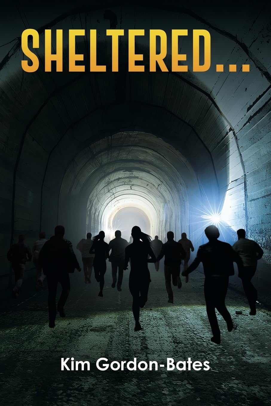 Sheltered... by Kim Gordon-Bates (Paperback Book)