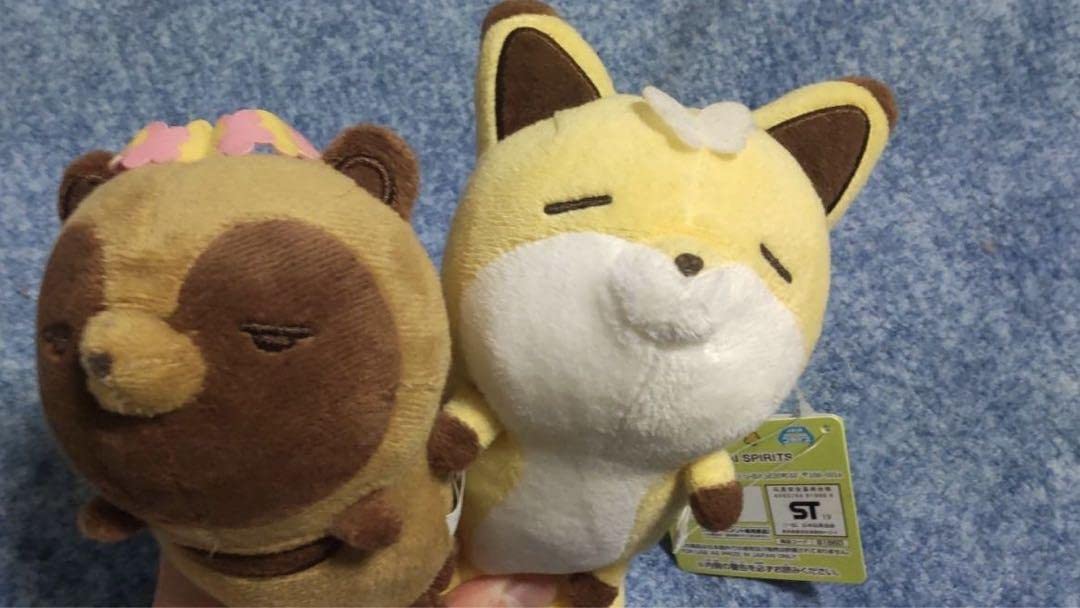 Amazon.co.jp: タヌキとキツネ セット ぬいぐるみ 赤いキツネと緑の