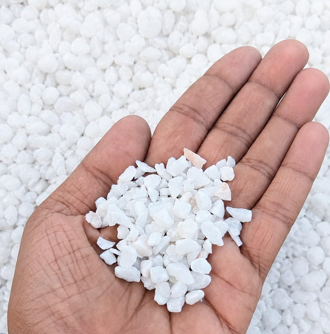 Premium White Marble Chips, Natural Decorative Stones for Planters, Aquarium, Vase Filling, Gardening, Landscaping and Home Decor 2 kg Pack (3-6 mm)-image-31