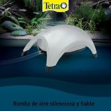 Ver la foto 2