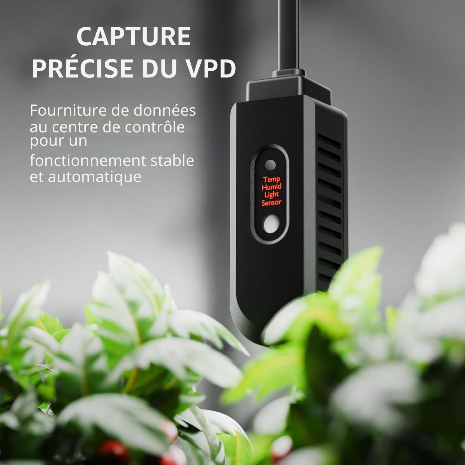 2025 Spider Farmer Humidificateur (5L)