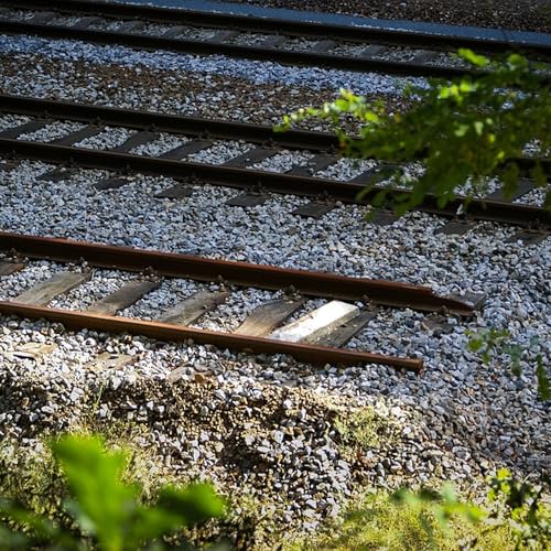 Southern Queensland train services hit by rail union strikes
