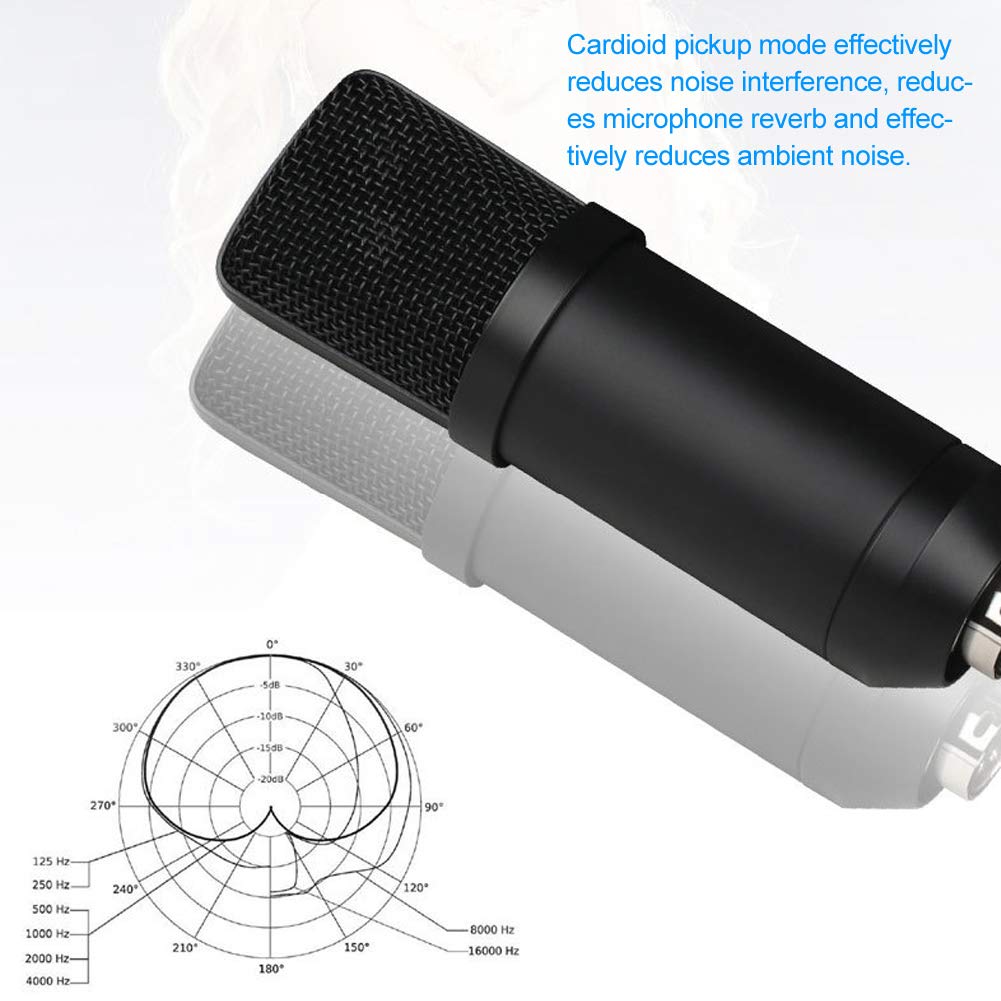 JEOZBM Microfono a Condensatore USB per Computer PC, Kit Microfono Cardioide Hi Fi con Filtro Anti-Pop a Prolunga per Studio di Registrazione Podcasting