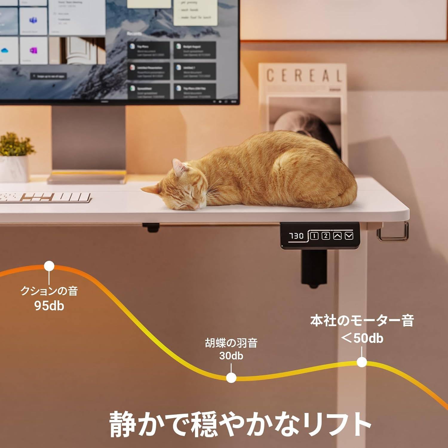 電動 昇降式デスク 幅100cm 奥行60cm 高さ72-118cm 電動昇降デスク 幅100×高さ71～117×奥行70cm