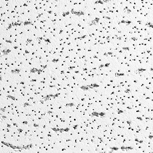 Armstrong Ceiling Tiles; 2x4 Ceiling Tiles 12 pcs White Ceiling Tiles