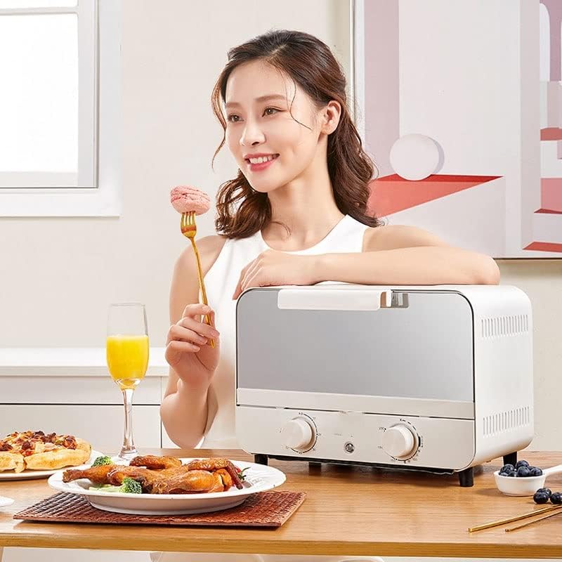 Electric oven household multi-function fruit dryer cake pizza bread machine double-layer grill
