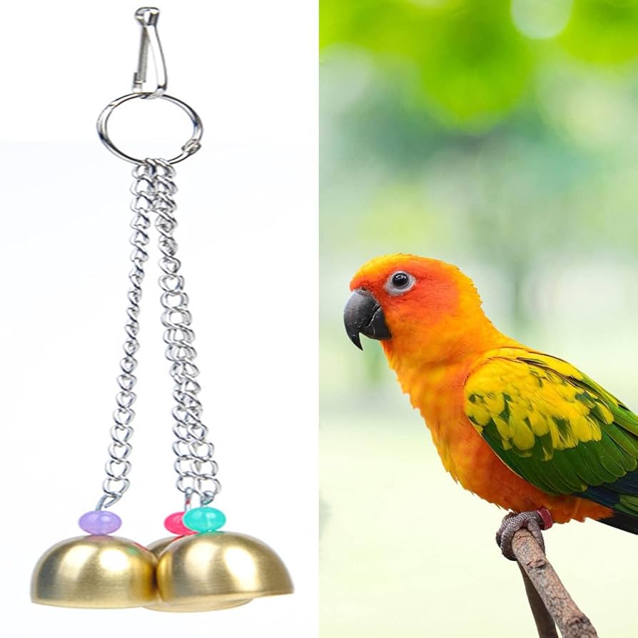 セキセイインコ　REDMOON ベルト REDMOON ベルト「VB-5S6441B」 | RM ism FUKUOKA