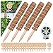 4 Pezzi Bastone Fibra di Cocco da 15.7 Pollici, Totem in Muschio di Cocco Sovrapposto, Bastone di Muschio di Cocco, Palo di Muschio per Pianta di Formaggio, Fibra di Cocco per Piante.