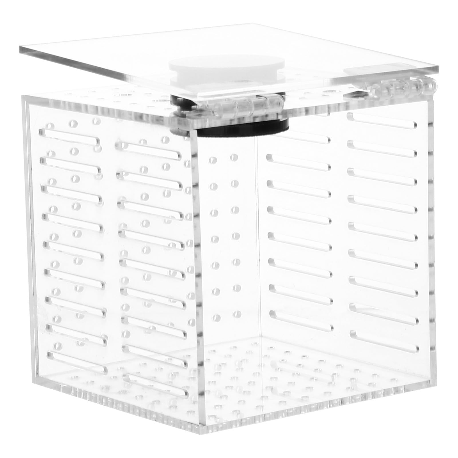 Caja de Aislamiento para Peces con Fijación Magnética y Vista Clara