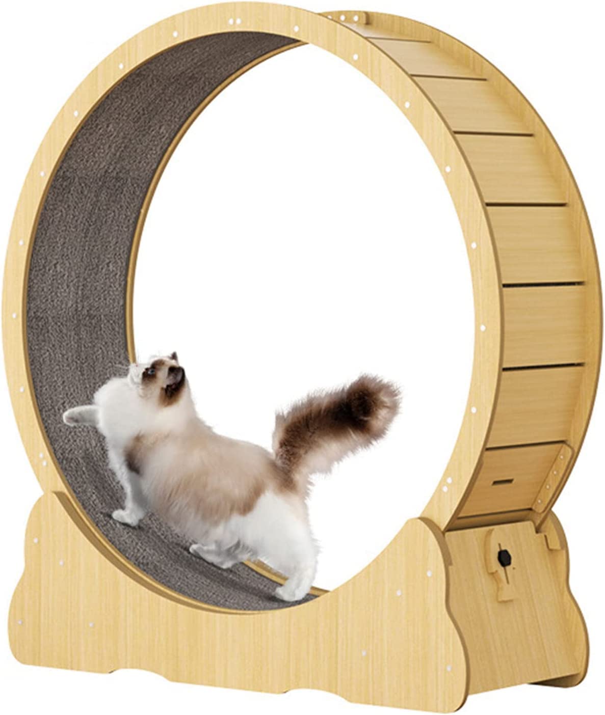 VOTZT Cat Wheel, Cat Treadmill, Exercise Wheel, Cute Cat Furniture, Pet