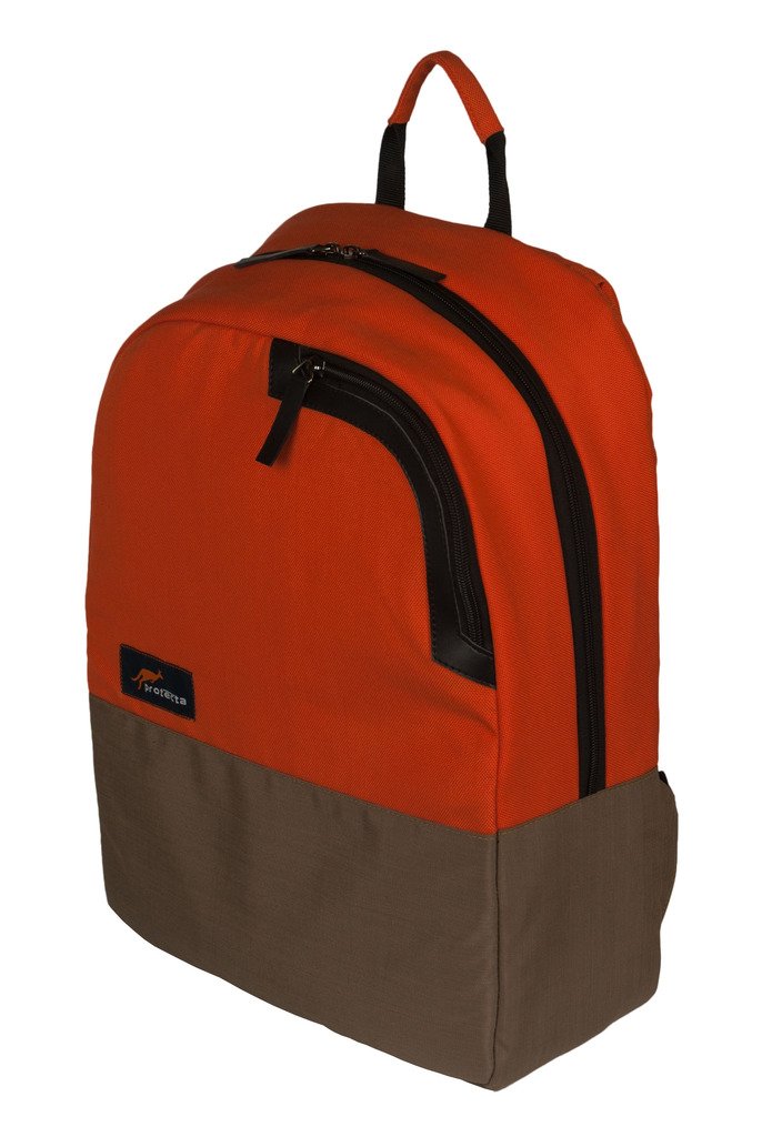 Protecta Deja Vu Laptop & Tablet Backpack for Laptops With Screen Size Up to 15.6 Inch. (Khakhi & Orange) (B071YZG1FN) Amazon Price History, Amazon Price Tracker
