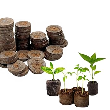 cocogarden Coir Seed Germination Kit for Gardening with Netted Root Plug, Cocopeat Coin, Coco Pellets, Coin, Disc (Pack of 10) - image, photos