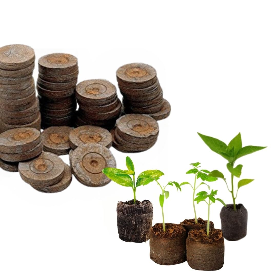 cocogarden Coir Seed Germination Kit for Gardening with Netted Root Plug, Cocopeat Coin, Coco Pellets, Coin, Disc (Pack of 10) (B0CRZ2D78B) Amazon Price History, Amazon Price Tracker
