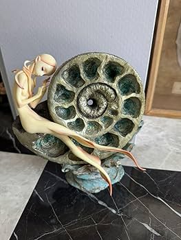 アンモナイト　遺品整理 925c323d60d43bffd3754a747a0dfb