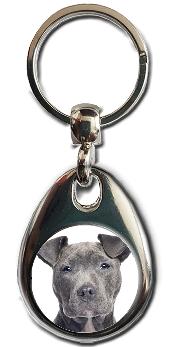 Kazmugz Unisex Blue Staffordshire Bull Terrier Dog Keyring. Heavy Quality Metal Gift Keyring. Double Sided Keychain. Puppy Dog Pet Gift.
