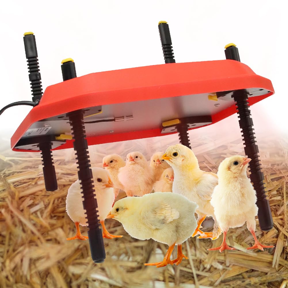 Chick Brooder Heating Plate – Adjustable Duckling & Chick Warmer For Up To 15 Birds