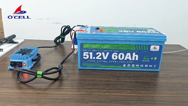 48V 60Ah LiFePO4 Battery (Used - Good)