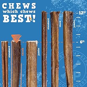 JackPup-6-Inch-Bully-Sticks-for-Medium-Dogs-Thick-Odor-Free-Bully-Sticks-for-Large-Dogs-All-Natural-Beef-Pizzle-Sticks-Thick-24-Pack - Cucciolini Doodles   JackPup-6-Inch-Bully-Sticks-for-Medium-Dogs-Thick-Odor-Free-Bully-Sticks-for-Large-Dogs-All-Natural-Beef-Pizzle-Sticks-Thick-24-Pack