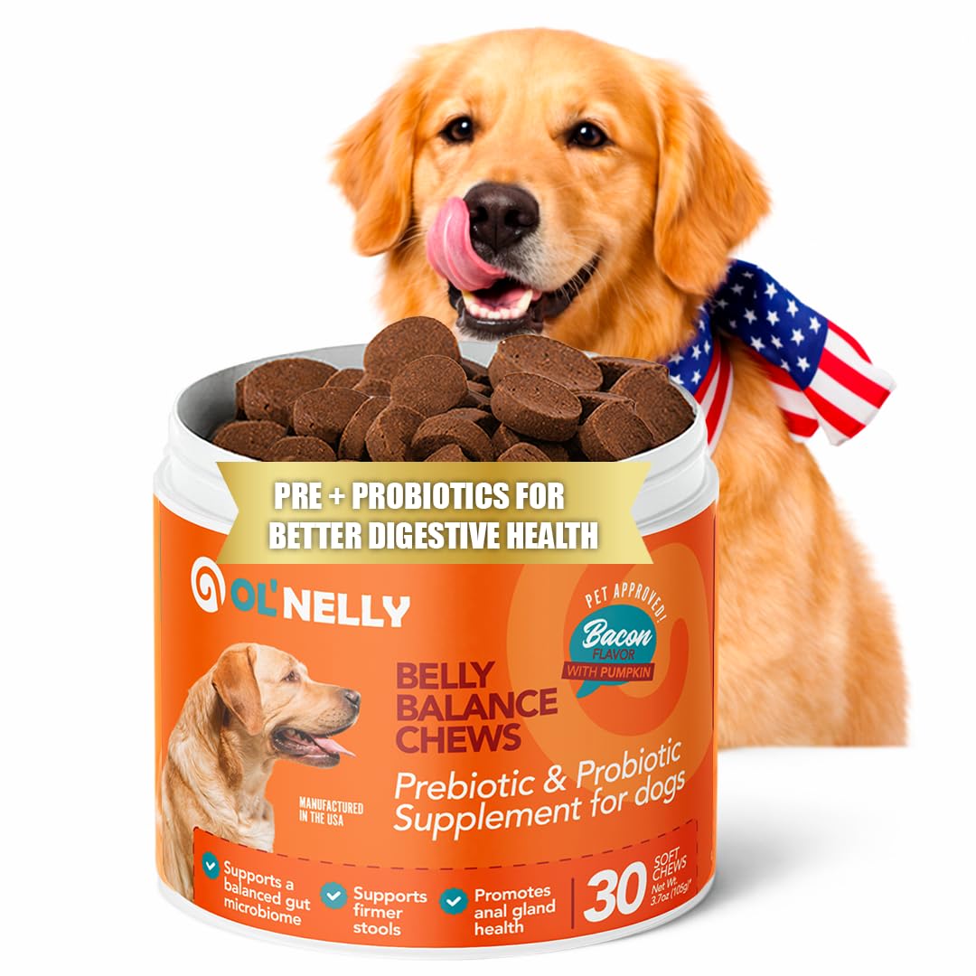 Dog Probiotic Chews – Pre & Probiotics for Dogs with Pumpkin-Digestive & Gut Health Support, Helps with Diarrhea, Gas & Constipation, Bacon Flavor, 30 Soft Chews – Ol'Nelly