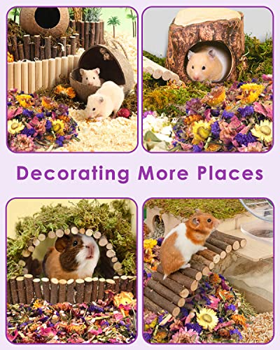 Bissap Natural Flower & Herb Hamster Bedding 300G/10.5Oz, Small Animal Soft Flower Habitat Decor For Syrian Dwarf Hamster Gerbil Chinchilla Mice Degu And Other Small Pet Flower Bedding Odor Control #TOP6