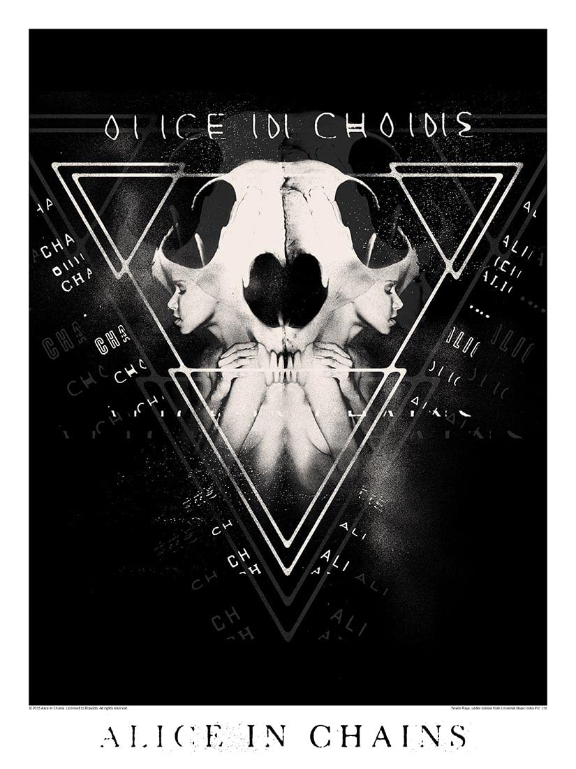 ArtangleArtangle Bravado Alice In Chains Two Face 12 X 16 inches Small Poster