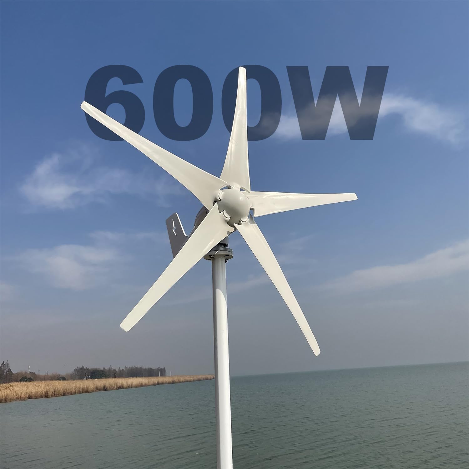 600W aerogenerador 12V/24V/48V 5-pala de alto rendimiento turbina eólica MPPT controlador de carga Horizontal sistema de energía eólica para el hogar y la granja (12, Voltios)