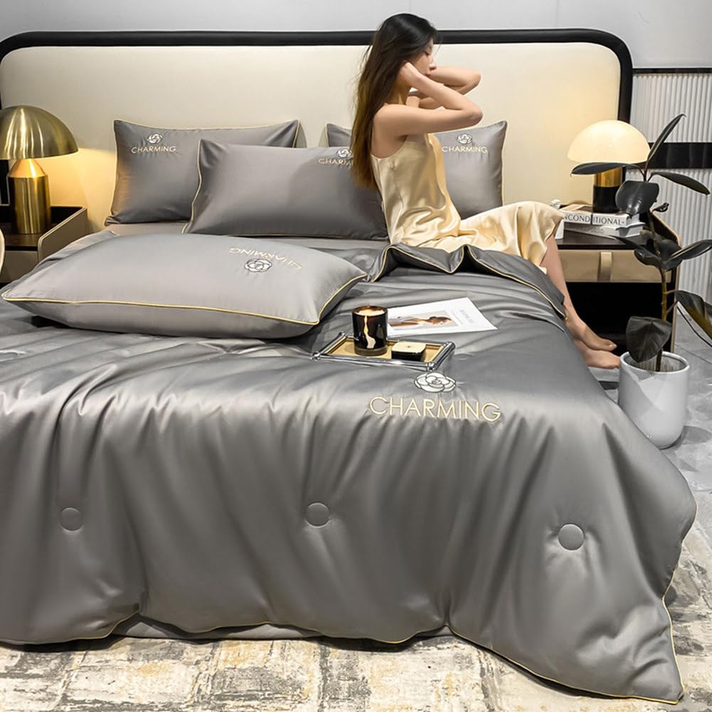 SAYEYBU Summer Simple Ice Silk Quilt, Premium Cool Ice Silk Summer Comforters, Washable Ice Silk Simple Air Conditioning Comfoter Quilt Blanket Air Conditioning Quilts for Sleeping,C6,200X230cm