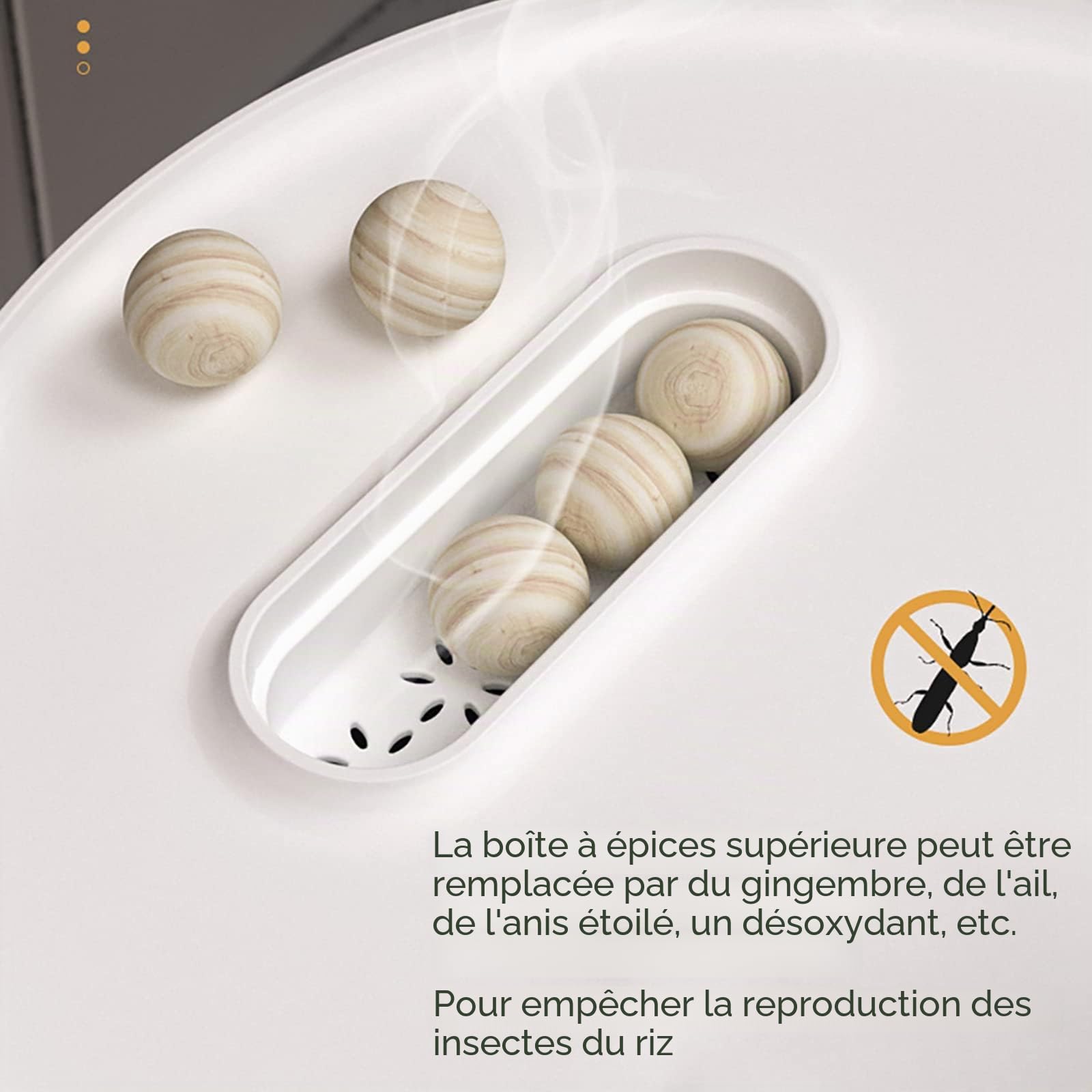 Distributeur de riz, distributeur de céréales, récipient hermétique avec couvercle et verre doseur pour riz noir, haricots (20 l)