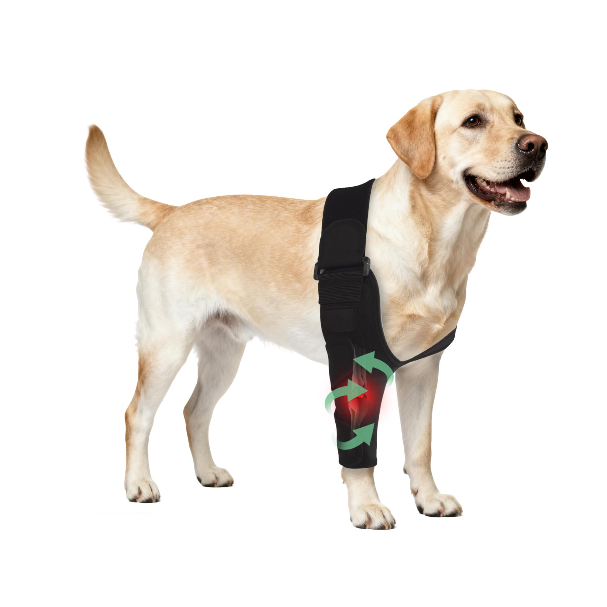 HAPPYHAO Adjustable Dog Elbow Brace